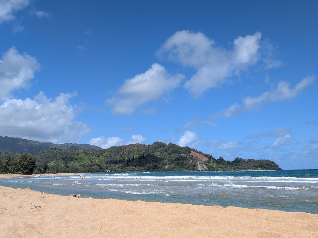 Hanalei Surfboard House主图