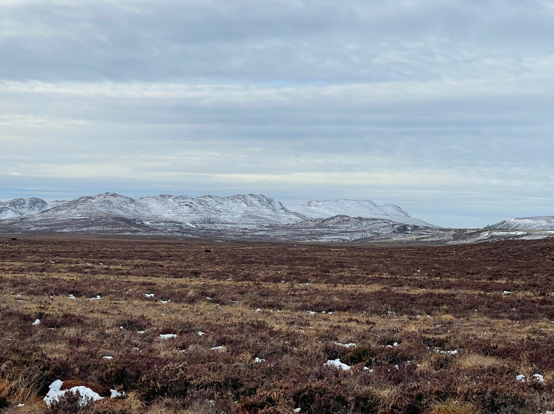Speyside Wildlife-阿维莫尔必去景点