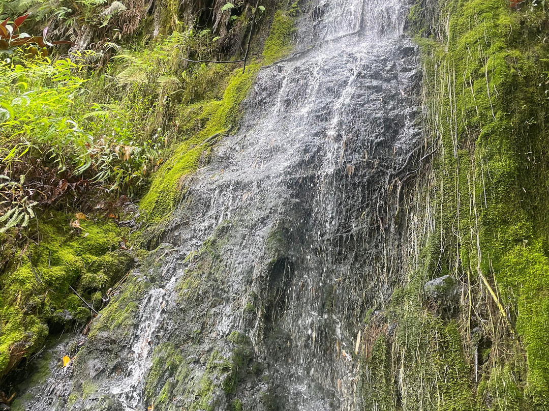 Karatu Expedition Safari-阿鲁埃必去景点