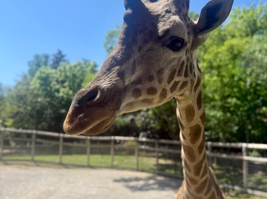 Chattanooga Zoo-查塔努加必去景点