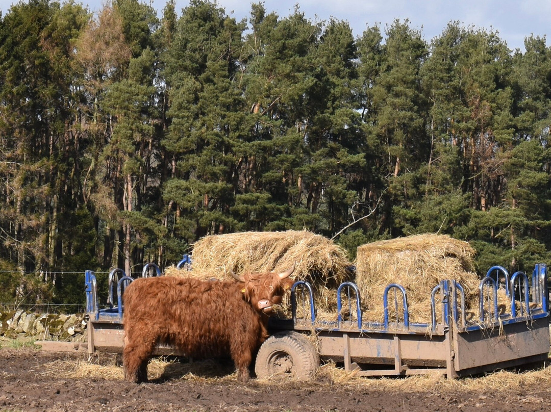 Newton Farm Holidays & Tours主图