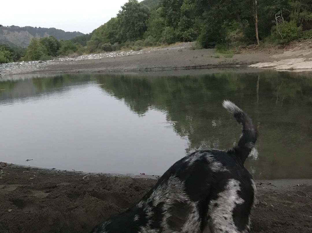 Venetikos River-格雷韦纳必去景点