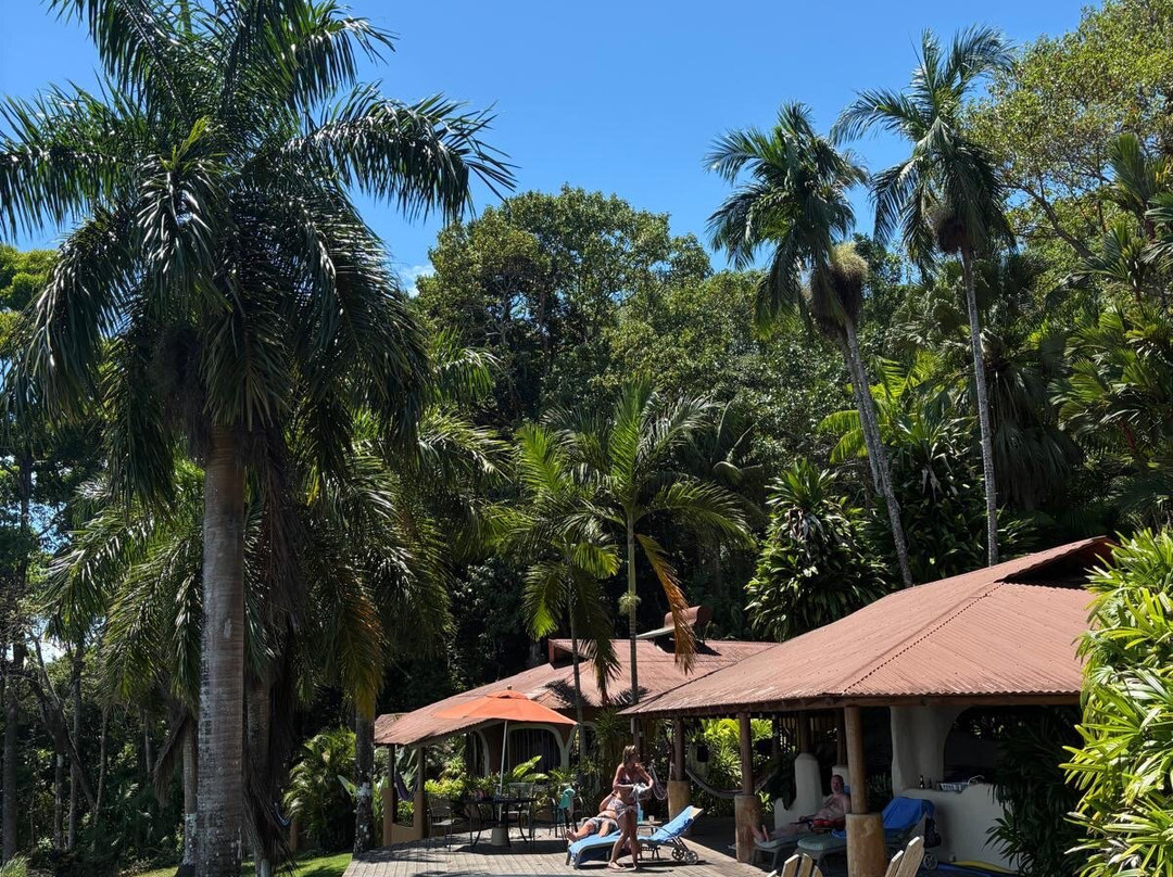 Bosque del Cabo Rain Forest Lodge主图