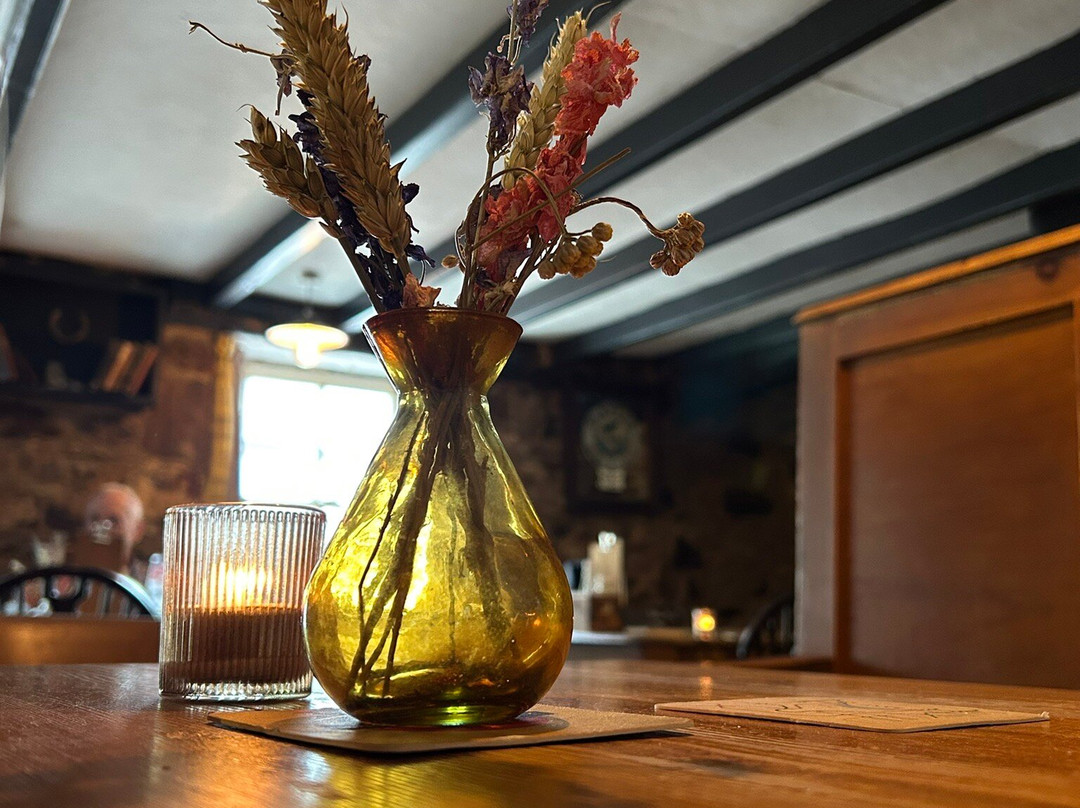 The Golden Lion, Newport, Pembrokeshire主图