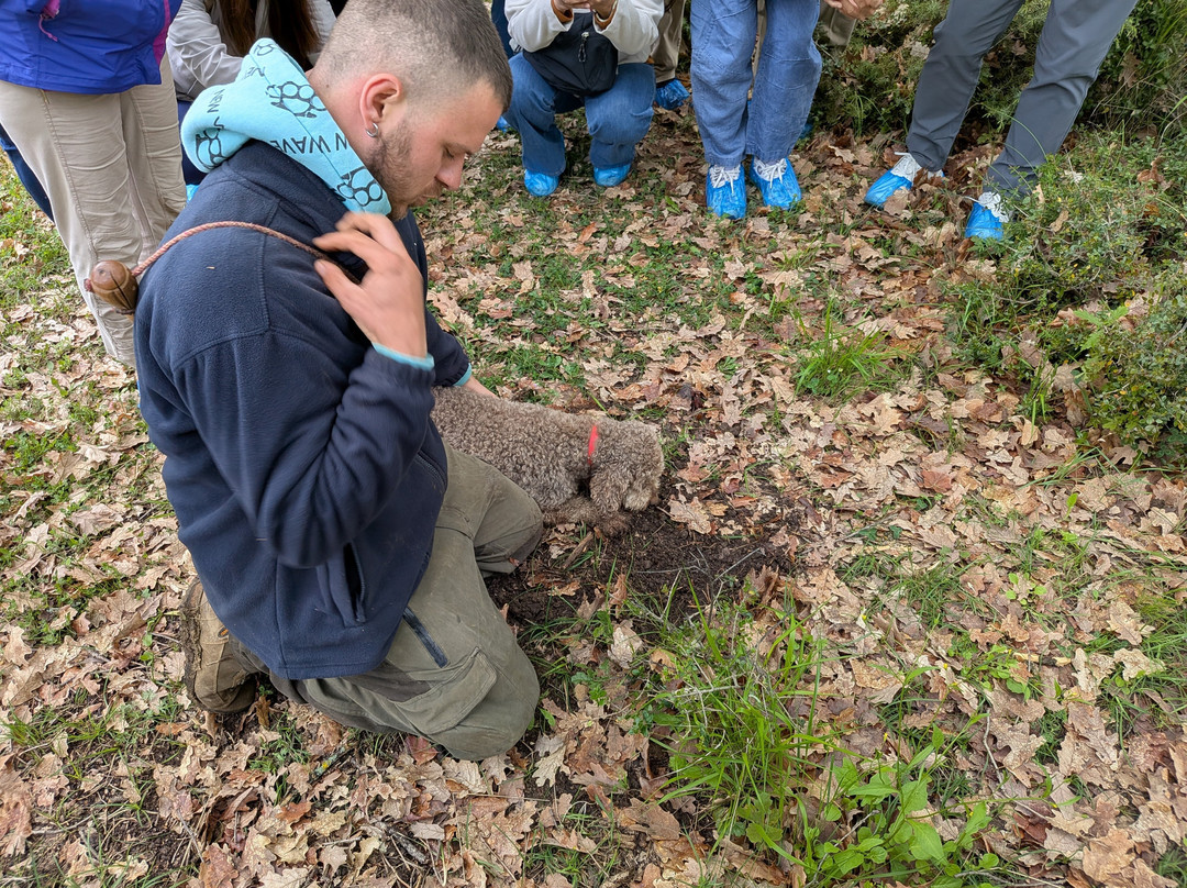 Truffle Hunting-卡兰巴卡必去景点