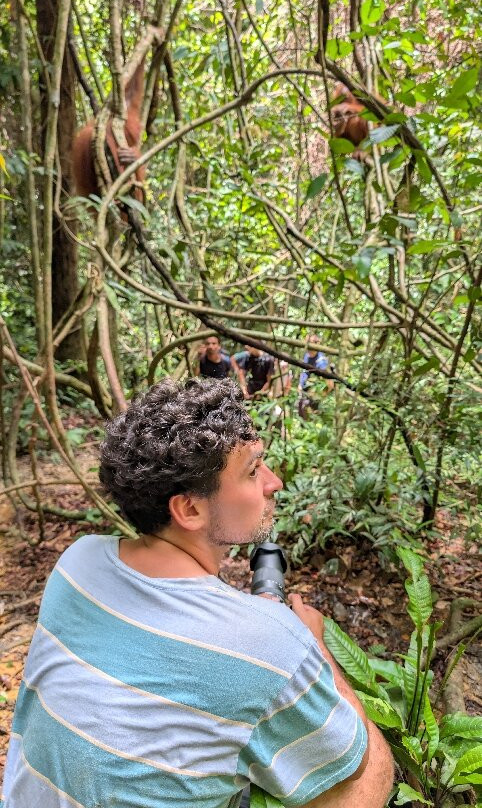 Sumatra Jungle Trek In!-武吉拉旺必去景点