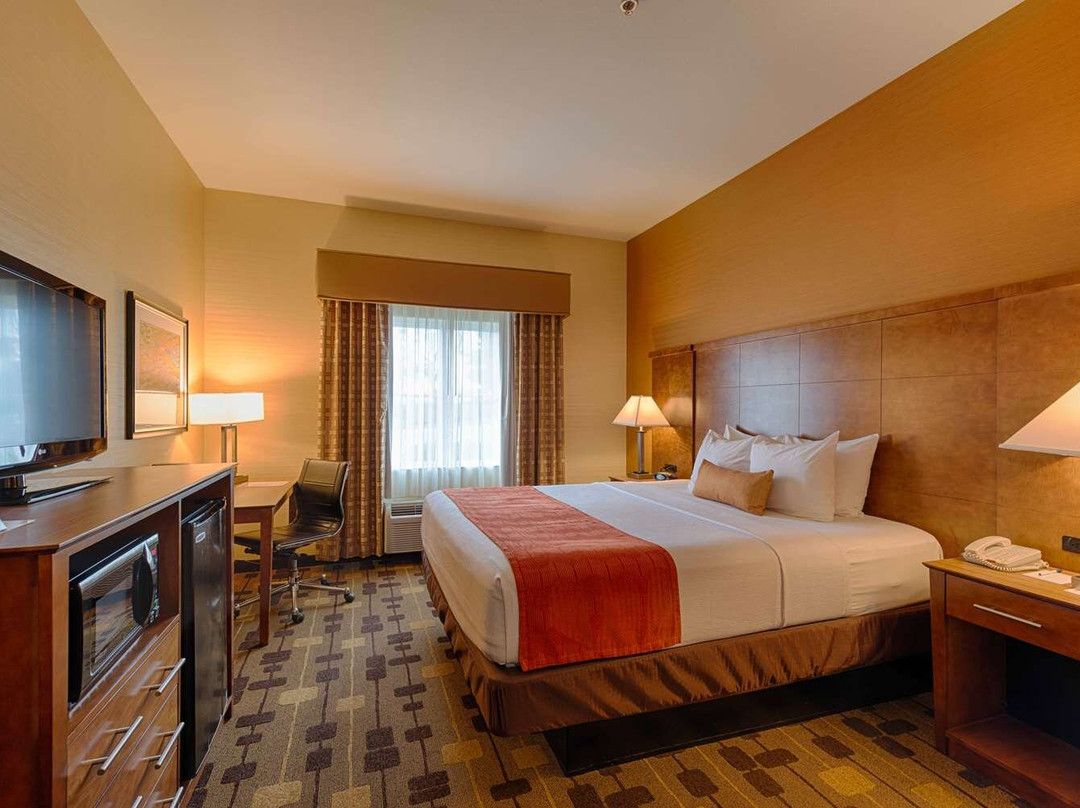 安条克酒店住宿-Best Western Plus Delta Inn & Suites