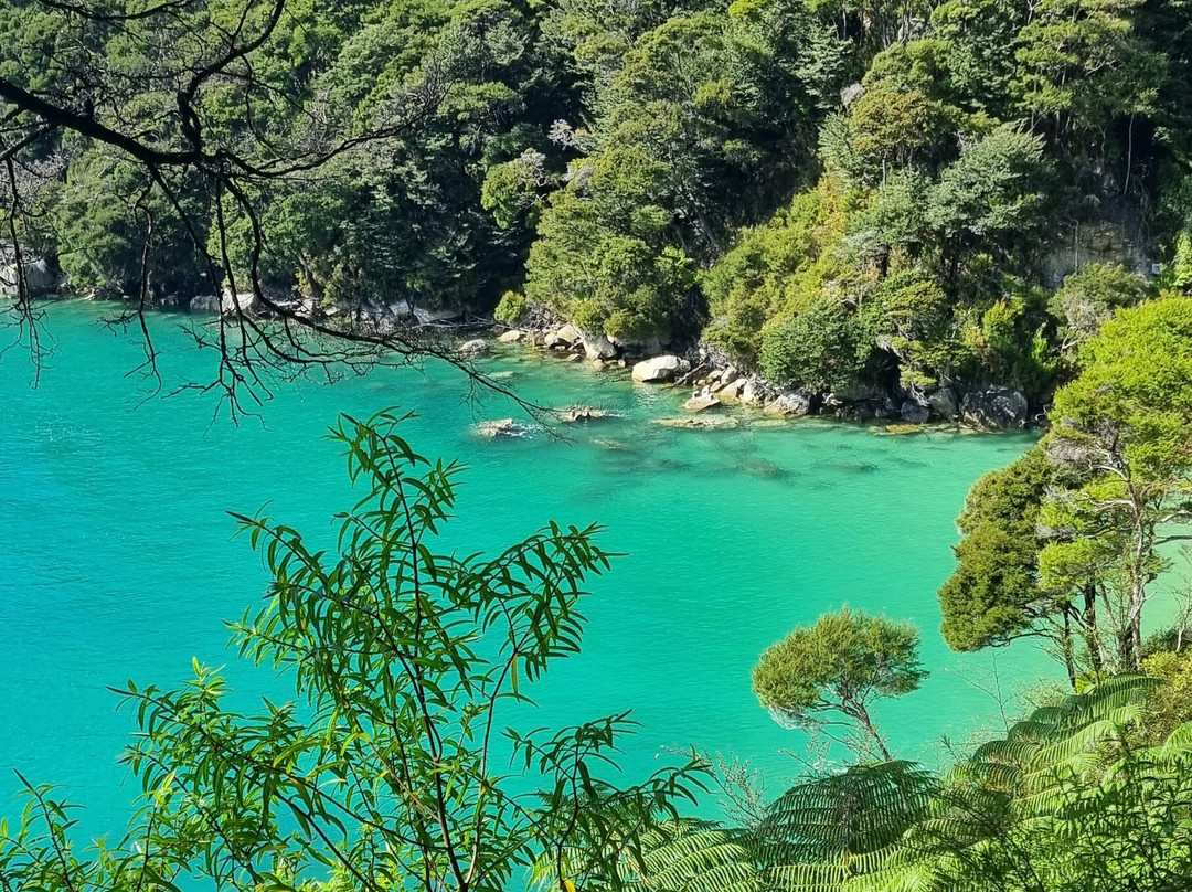 Abel Tasman Guides-玛拉豪必去景点