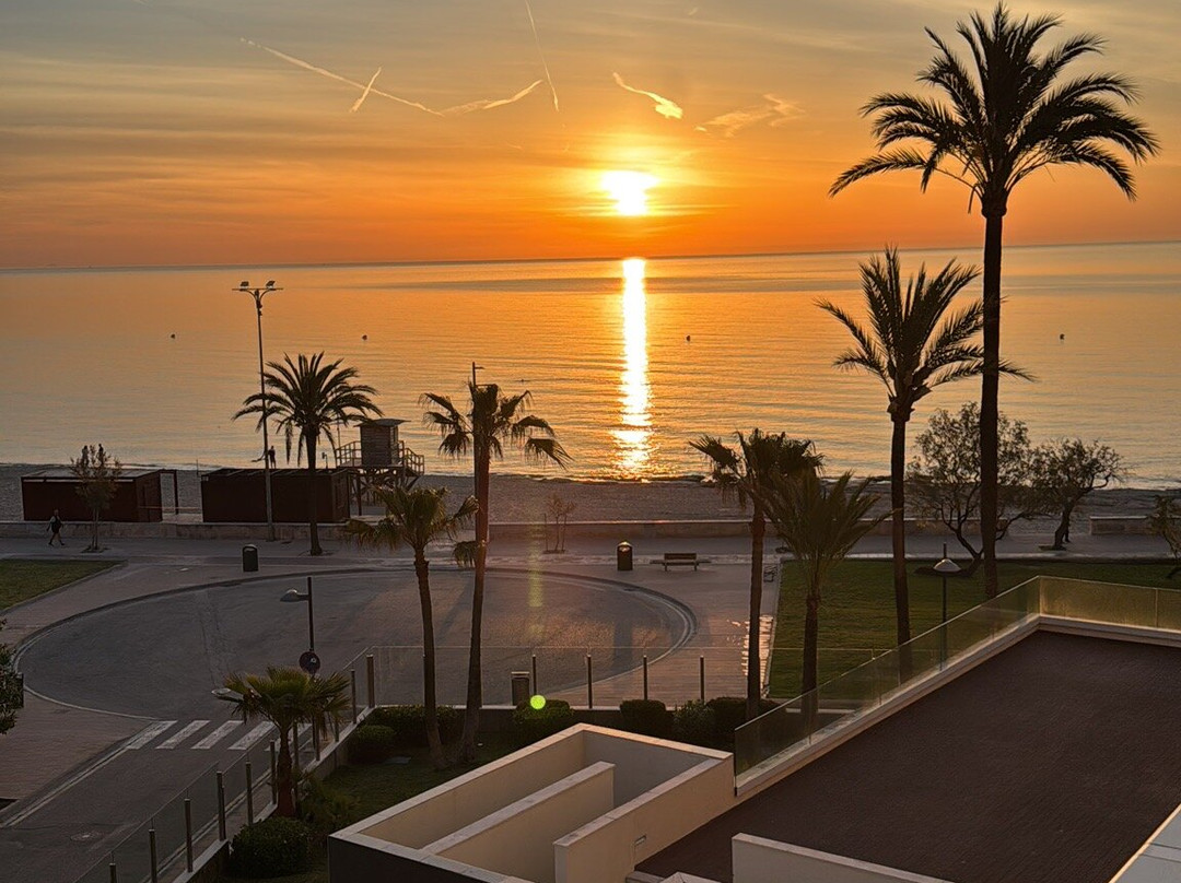 Protur Playa Cala Millor Hotel主图