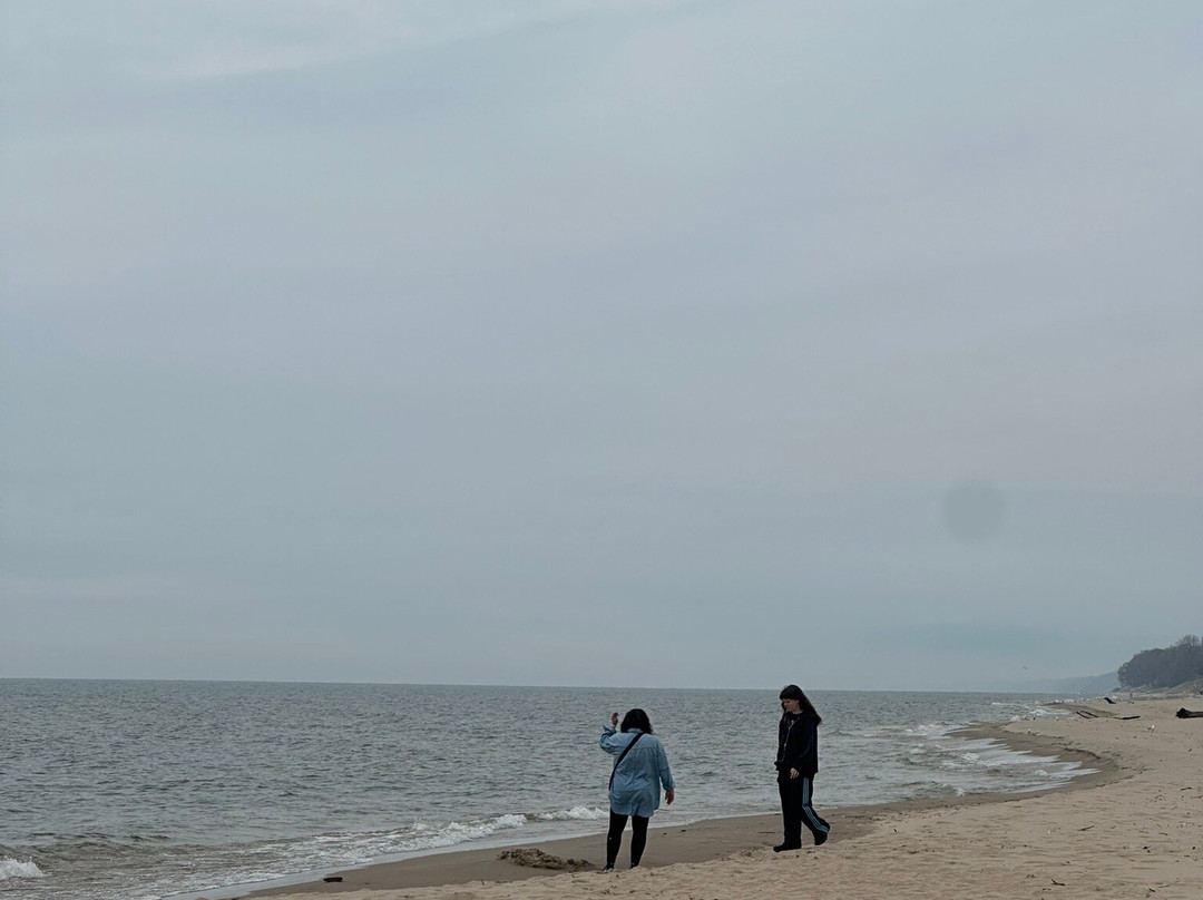 荷兰州立公园海滩-荷兰村必去景点