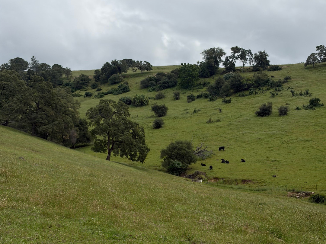 Rail Explorers: Amador CA Division-Ione必去景点