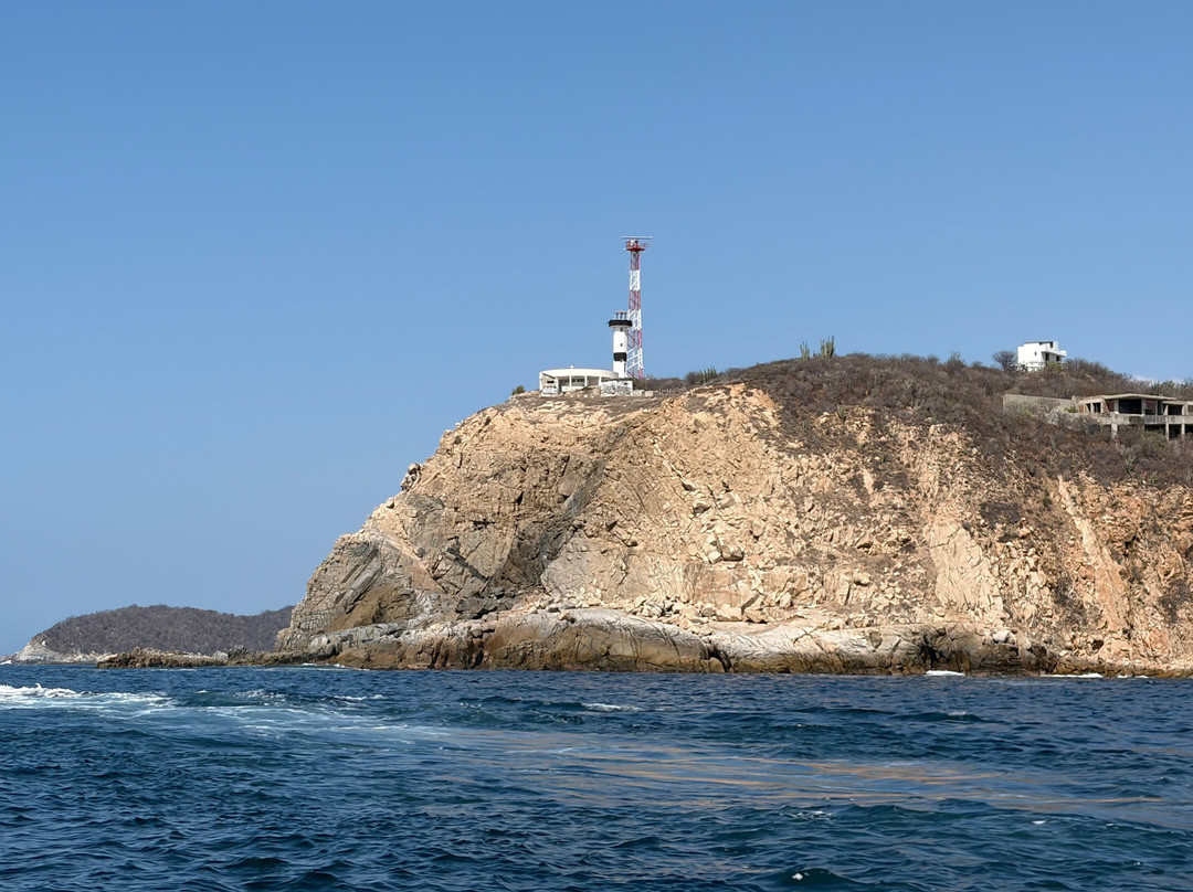 White Shark Sport Fishing & Tours-瓦图尔科必去景点