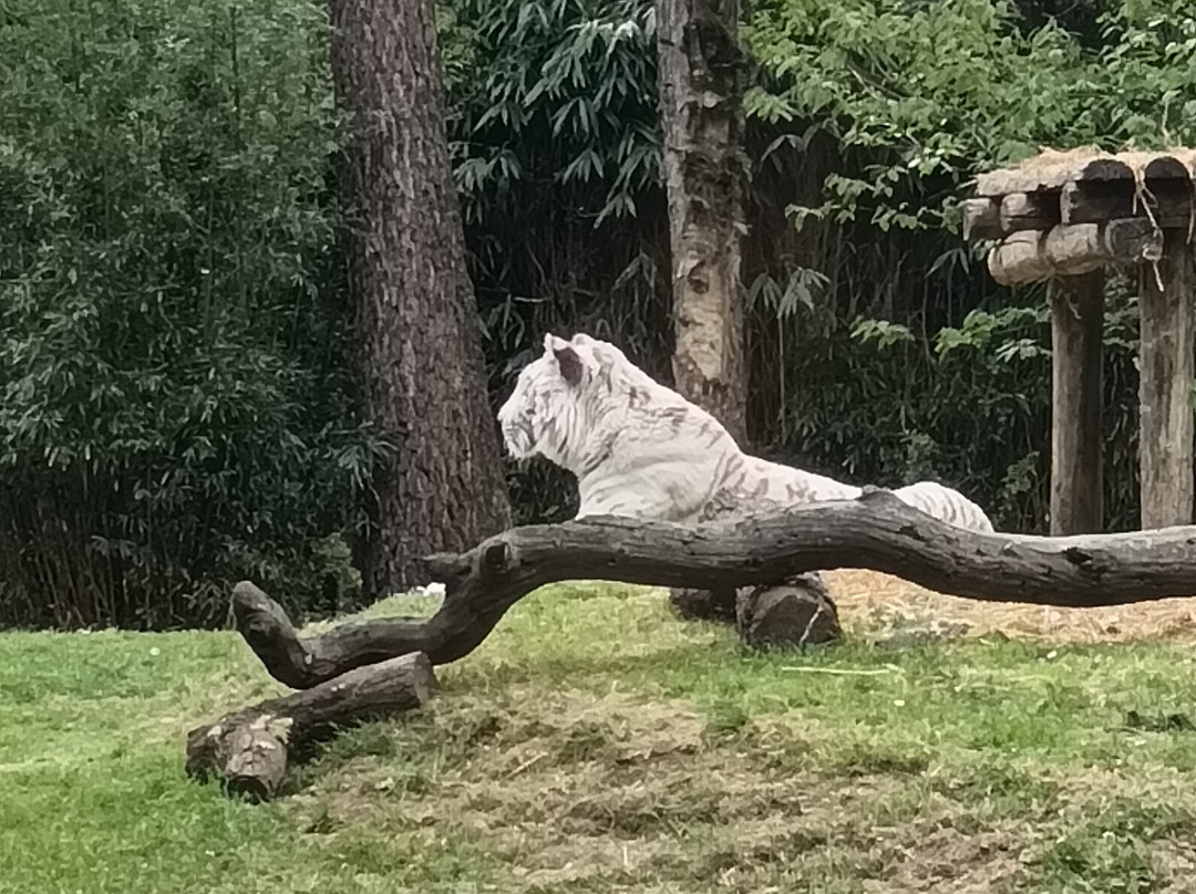 Zoo de La Fleche-La Fleche必去景点