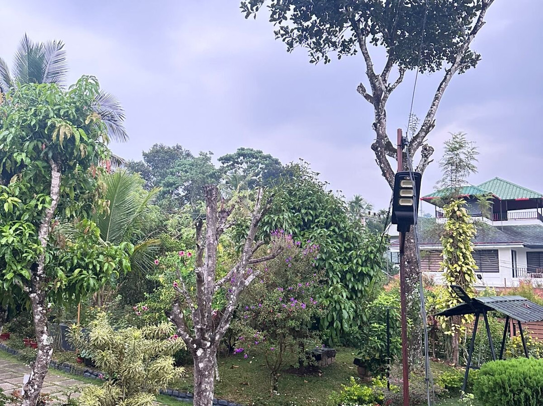 Ayurgem Ayurveda Yoga & Wellness Retreat Munnar-Ambazhachal必去景点