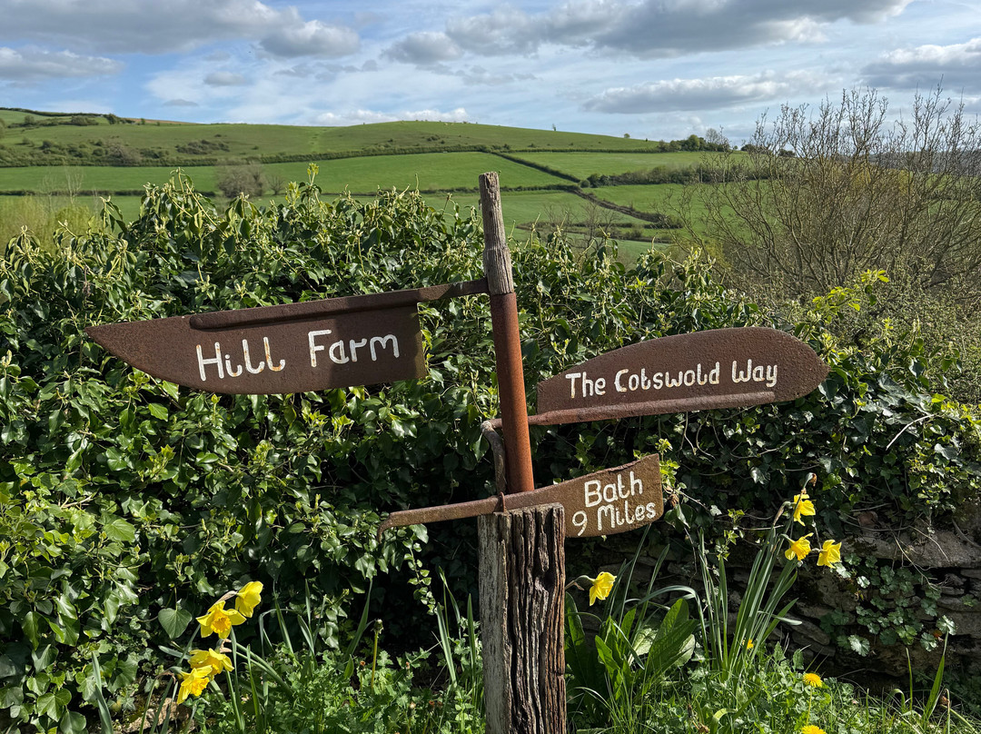 HILL FARM Bed and Breakfast主图