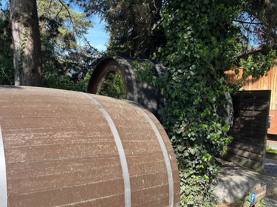 莎富 - 法斯迈恩费尔德住宿加早餐旅馆主图