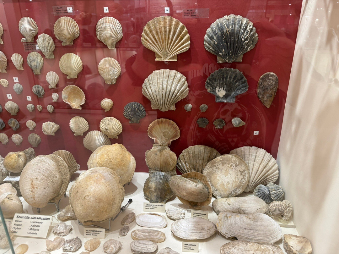 Museum of Mineralogy and Paleontology Stamatiadis-Ialysos必去景点