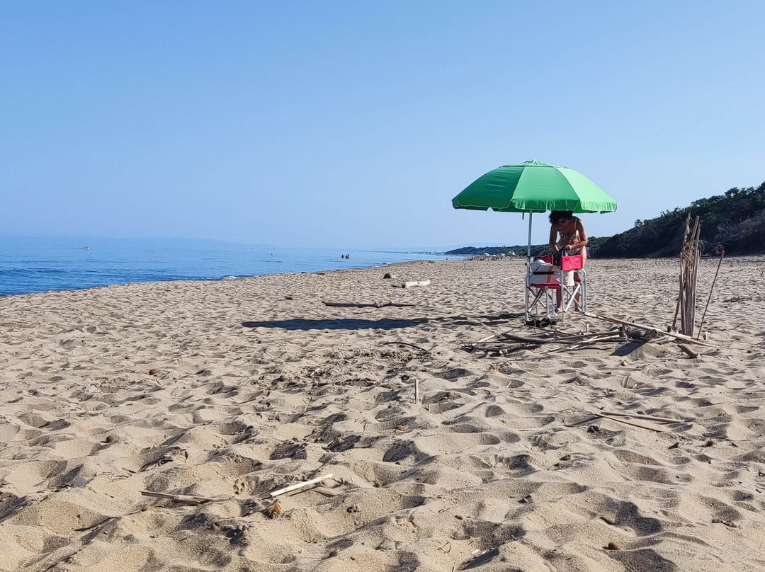 Rimigliano Coastal Park-圣温琴佐必去景点