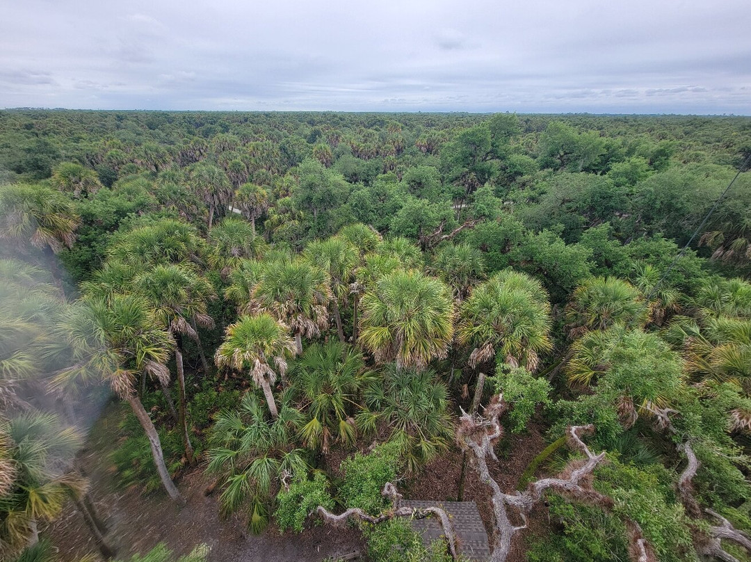 Myakka River State Park-萨拉索塔必去景点