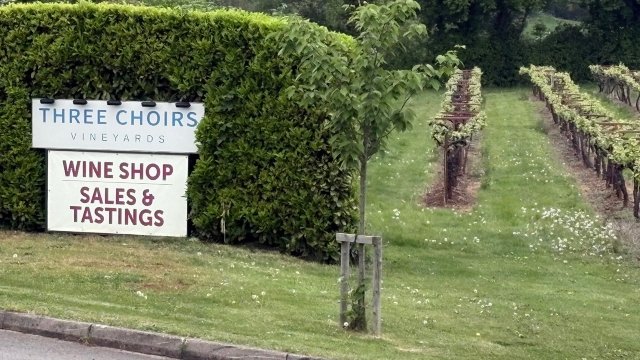 Three Choirs Vineyards-旅行者