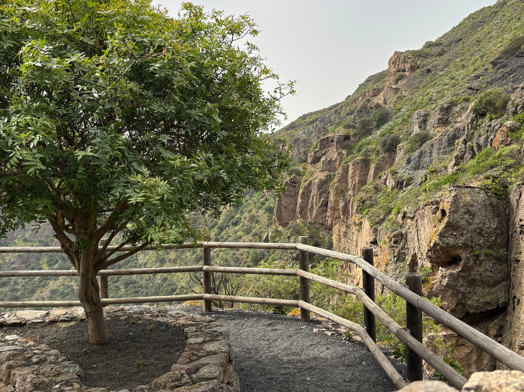 Caldera de Bandama-Bandama必去景点