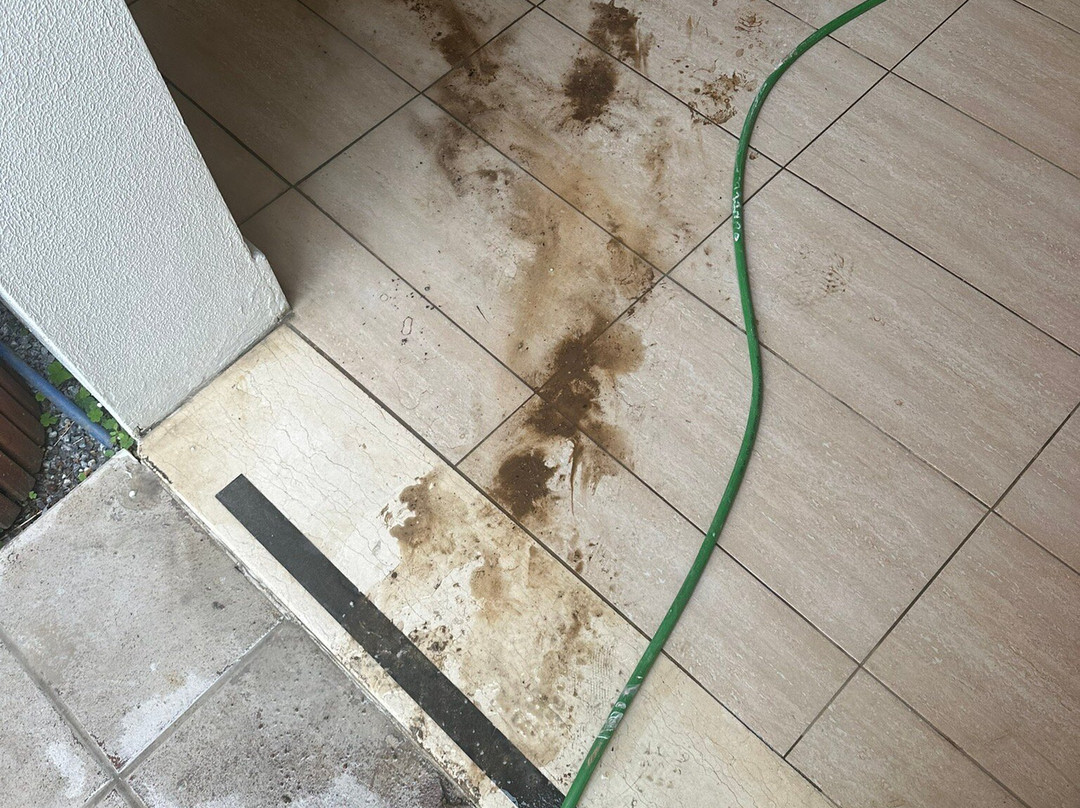 博德鲁姆里克萨斯高级酒店主图