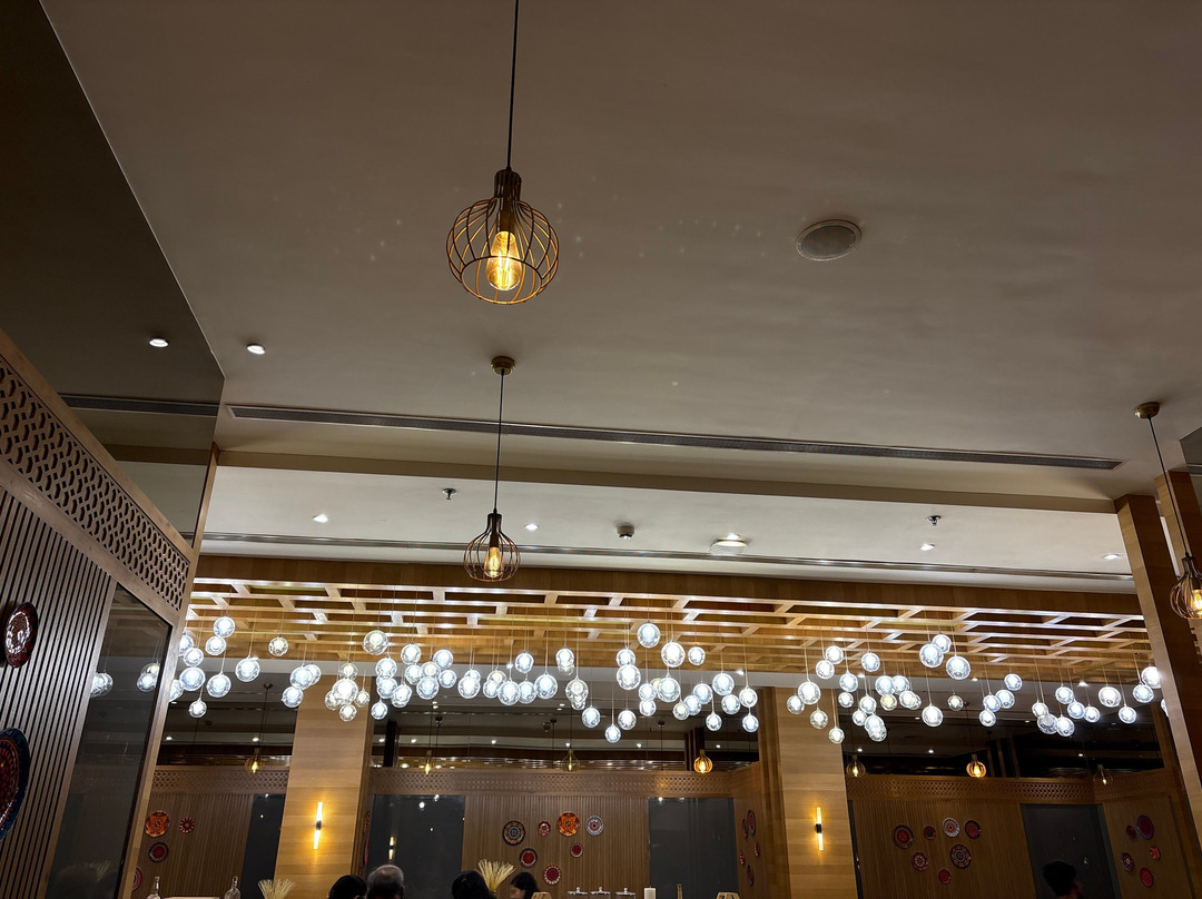 乌代布尔中心雷金塔酒店主图