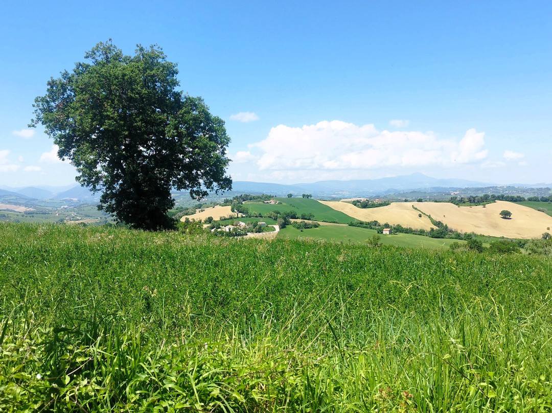 Centro Storica (san Ginesio)-San Ginesio必去景点