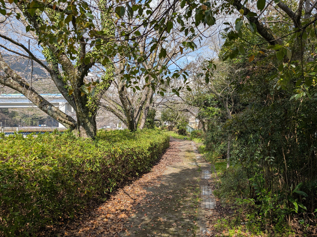 Koyama Shimizu Park-松田町必去景点