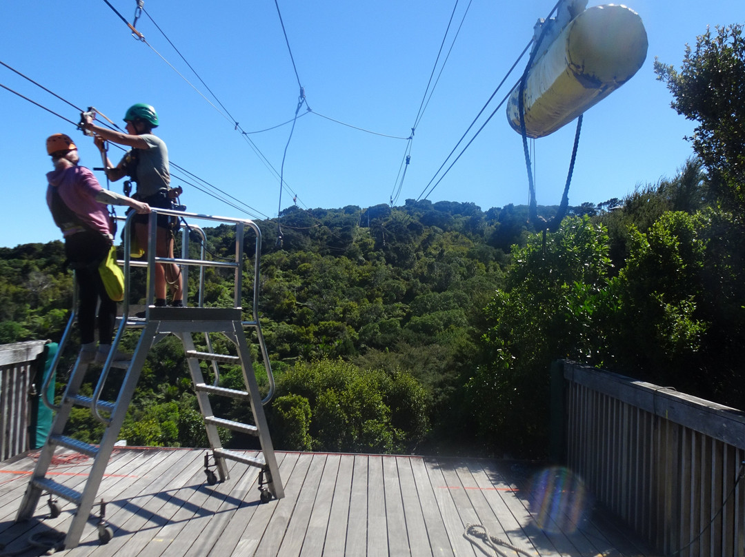 Ecozip Adventures Waiheke Island-欧尼罗亚必去景点