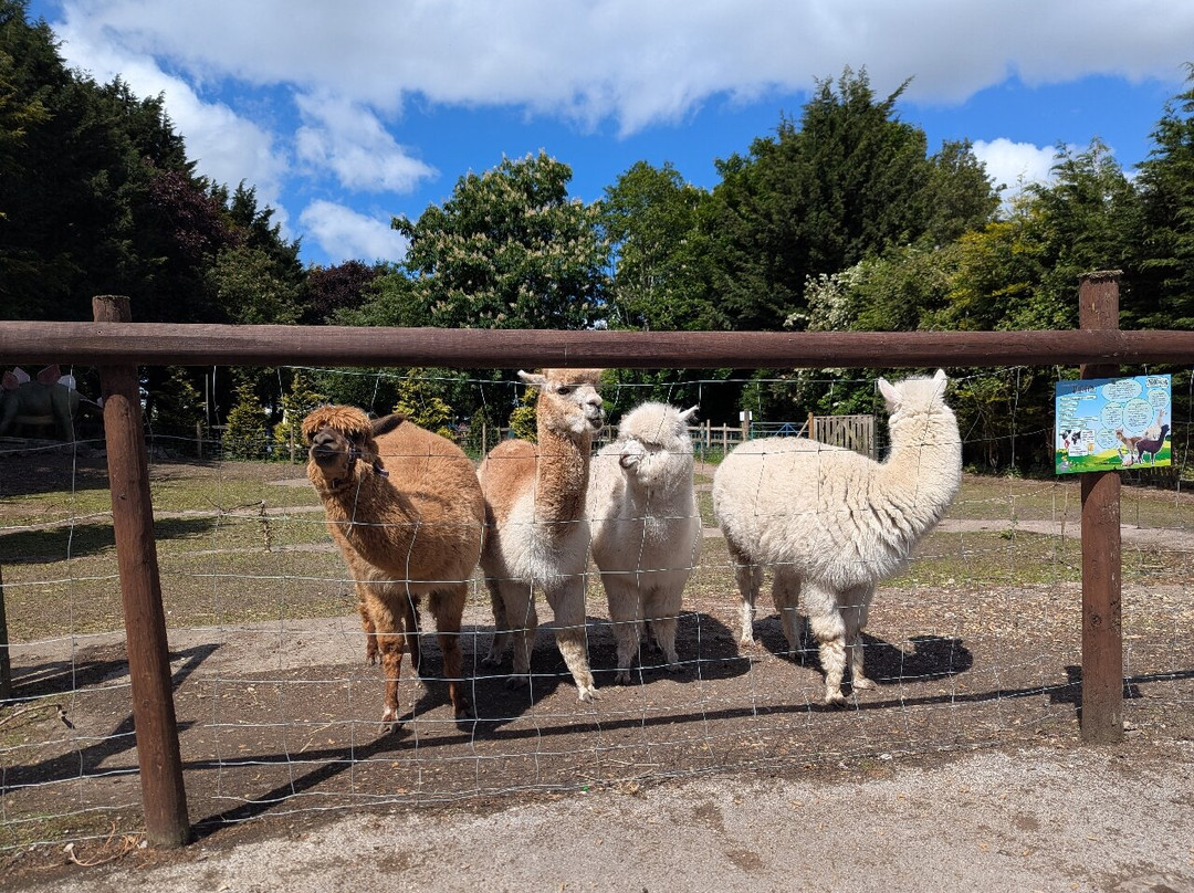 Greenacres Animal Park-Deeside必去景点