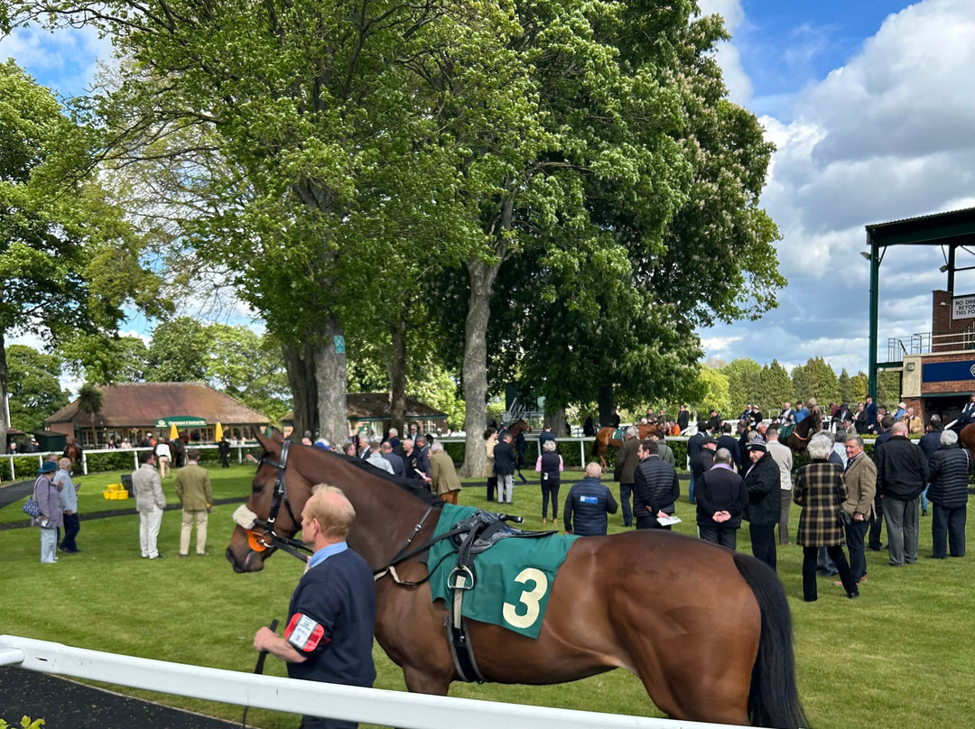 Ripon Racecourse-里彭必去景点