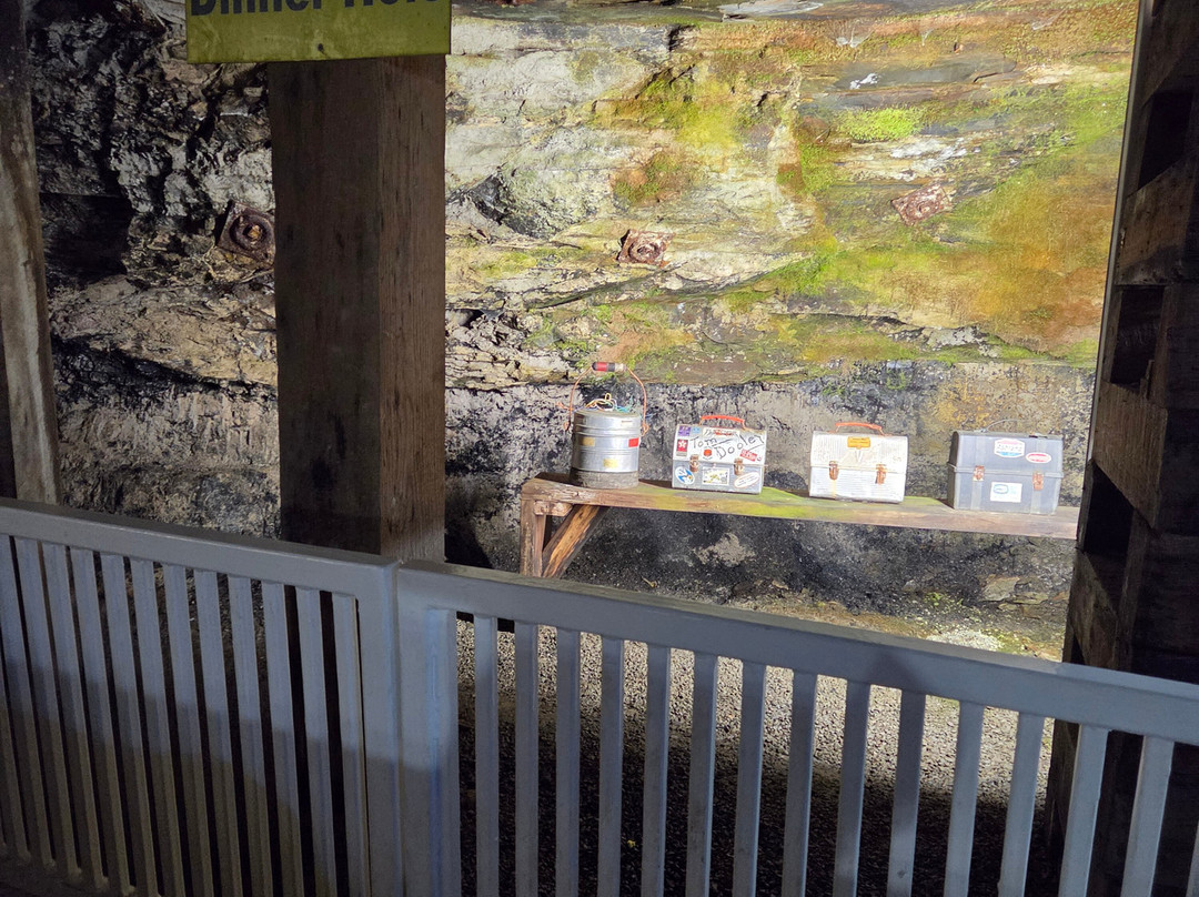 Beckley Exhibition Coal Mine and Youth Museum-Beckley必去景点