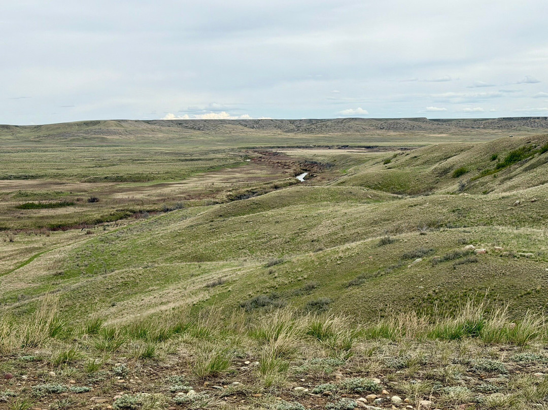 Grasslands National Park-萨斯喀彻温省必去景点