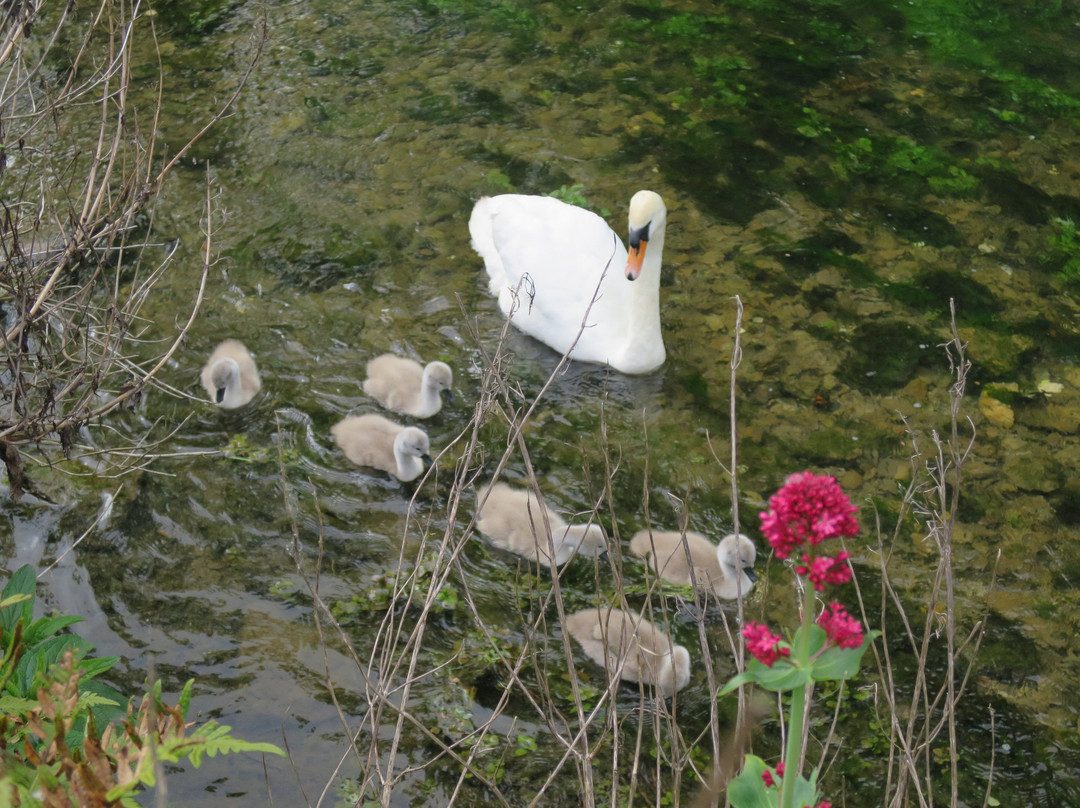 Cotswolds Guided Tours-莫顿因马什必去景点