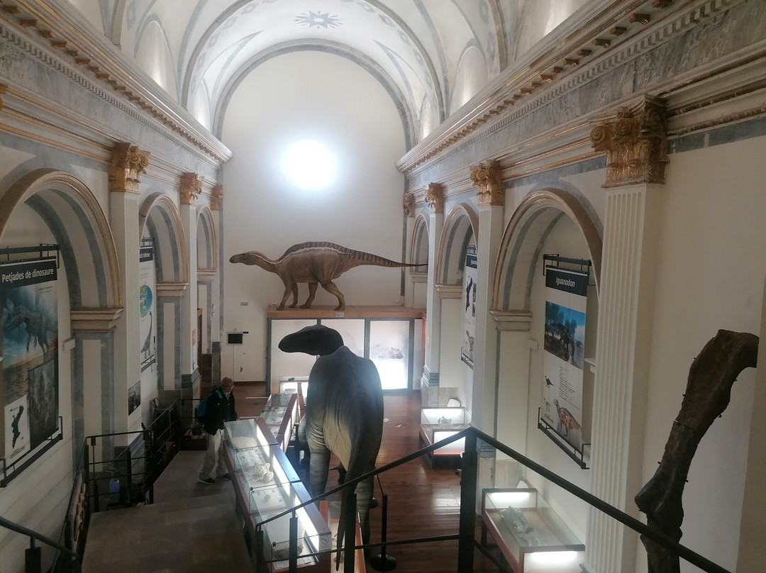 Museu Temps de Dinosaures-Morella必去景点