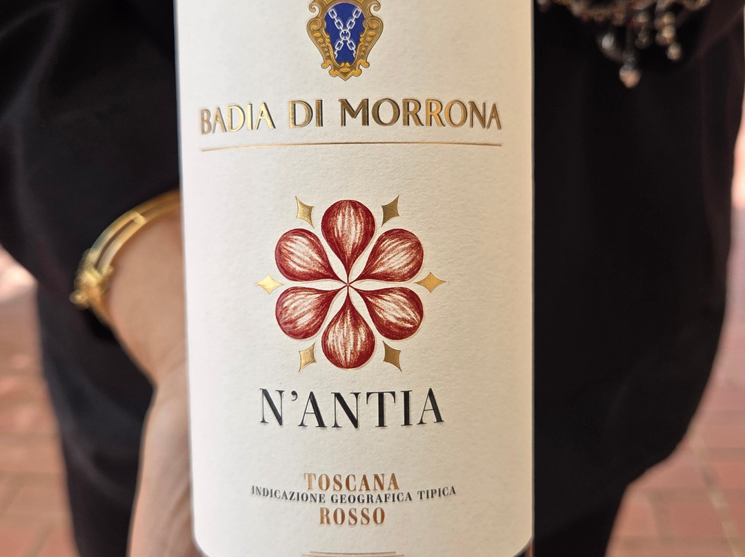 Badia Di Morrona Wine Tour & Tasting-Terricciola必去景点
