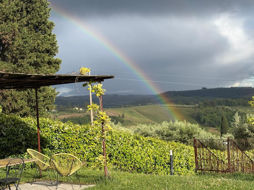 Organic Tuscany Cooking Classes-切塔尔多必去景点