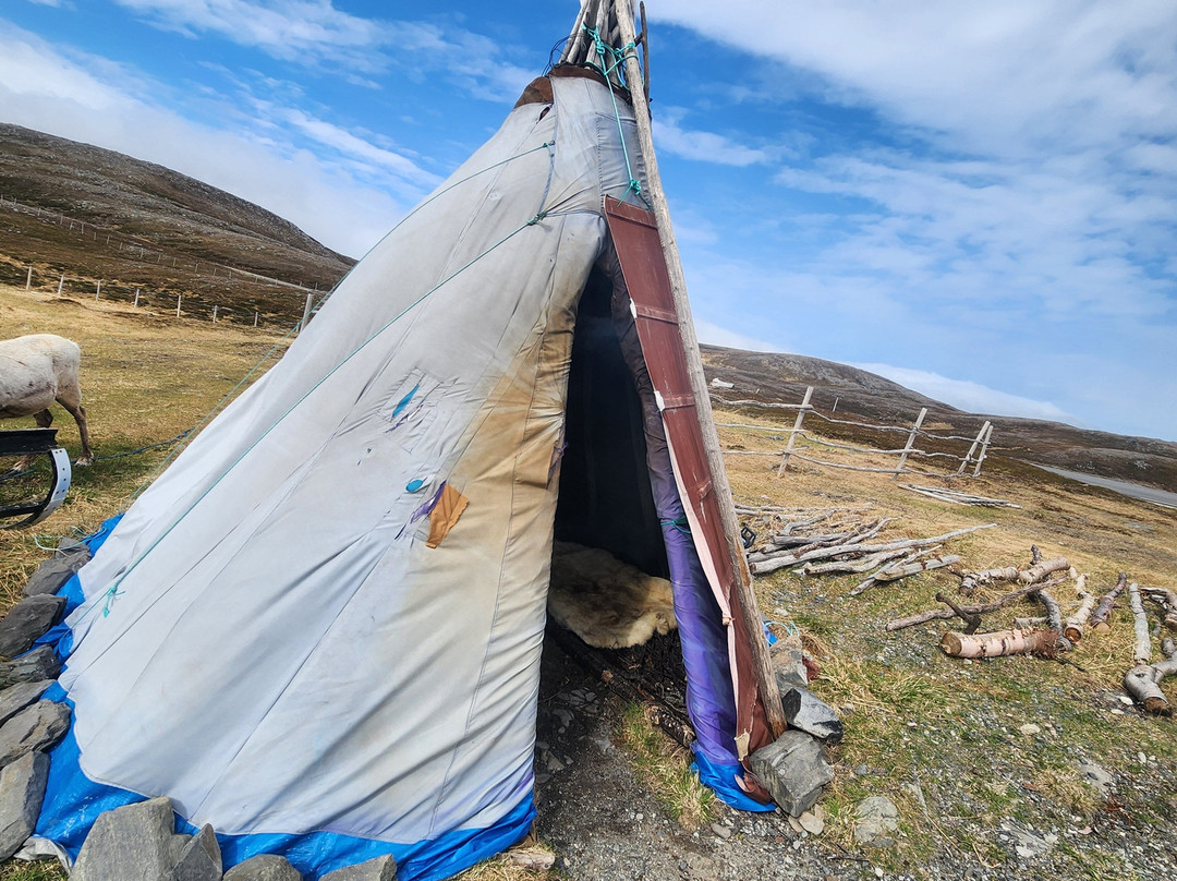 North Cape Tourist Information-霍宁斯沃格必去景点