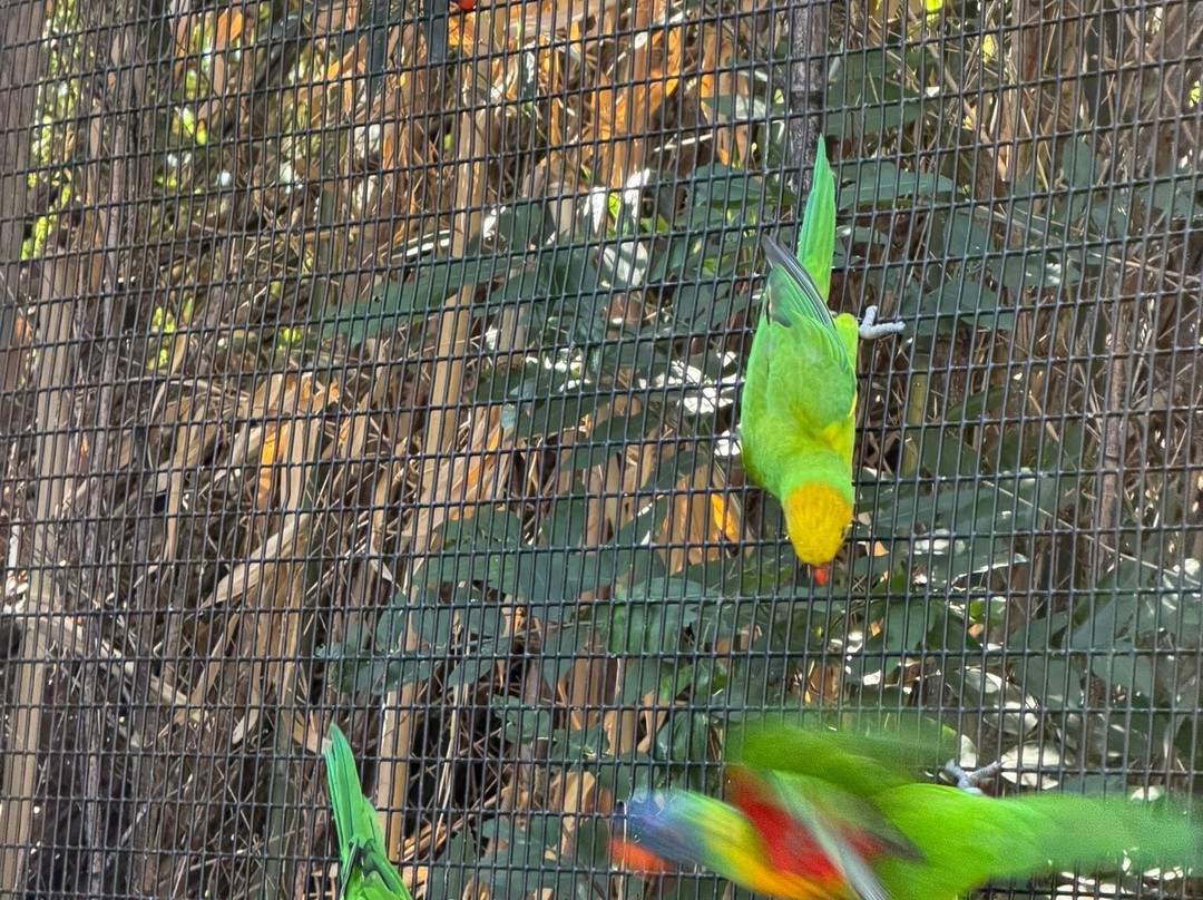 Tanganyika Wildlife Park-Goddard必去景点