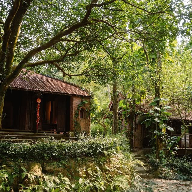 Dong Dinh Museum-Son Tra Peninsula必去景点
