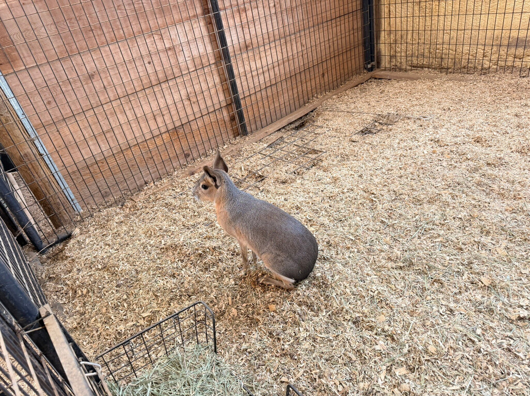Equator's Edge Wildlife Center-Elizabeth必去景点