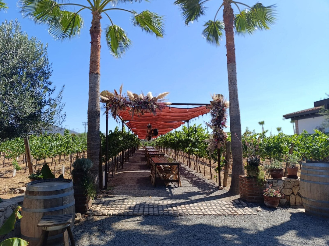 Lechuza Vineyard-Valle de Guadalupe必去景点