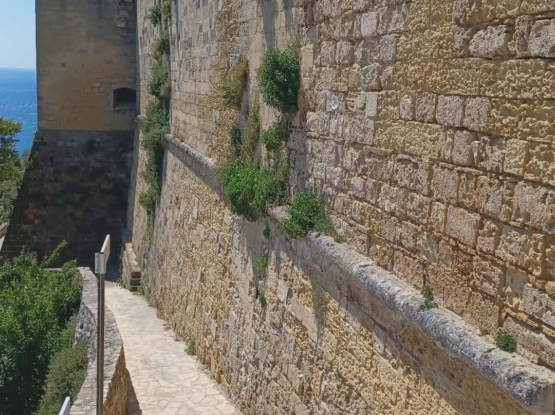 Piazza Vittoria-Castro必去景点