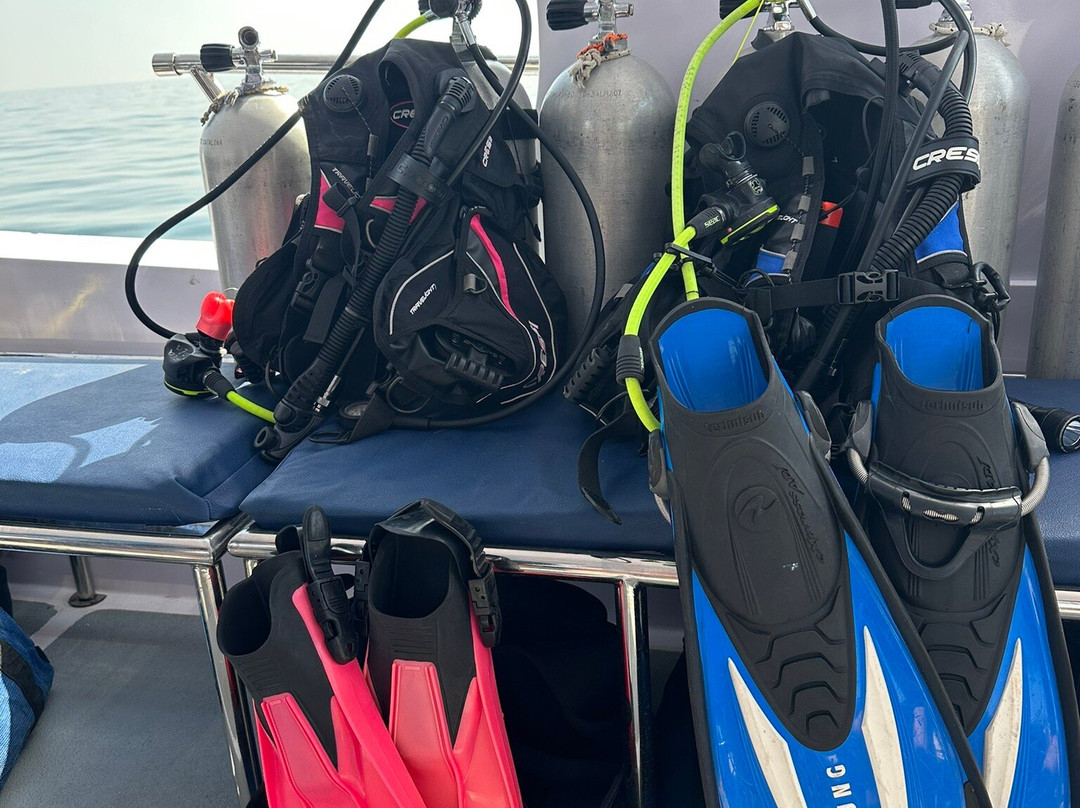 MolaMola Diving Center-马斯喀特必去景点