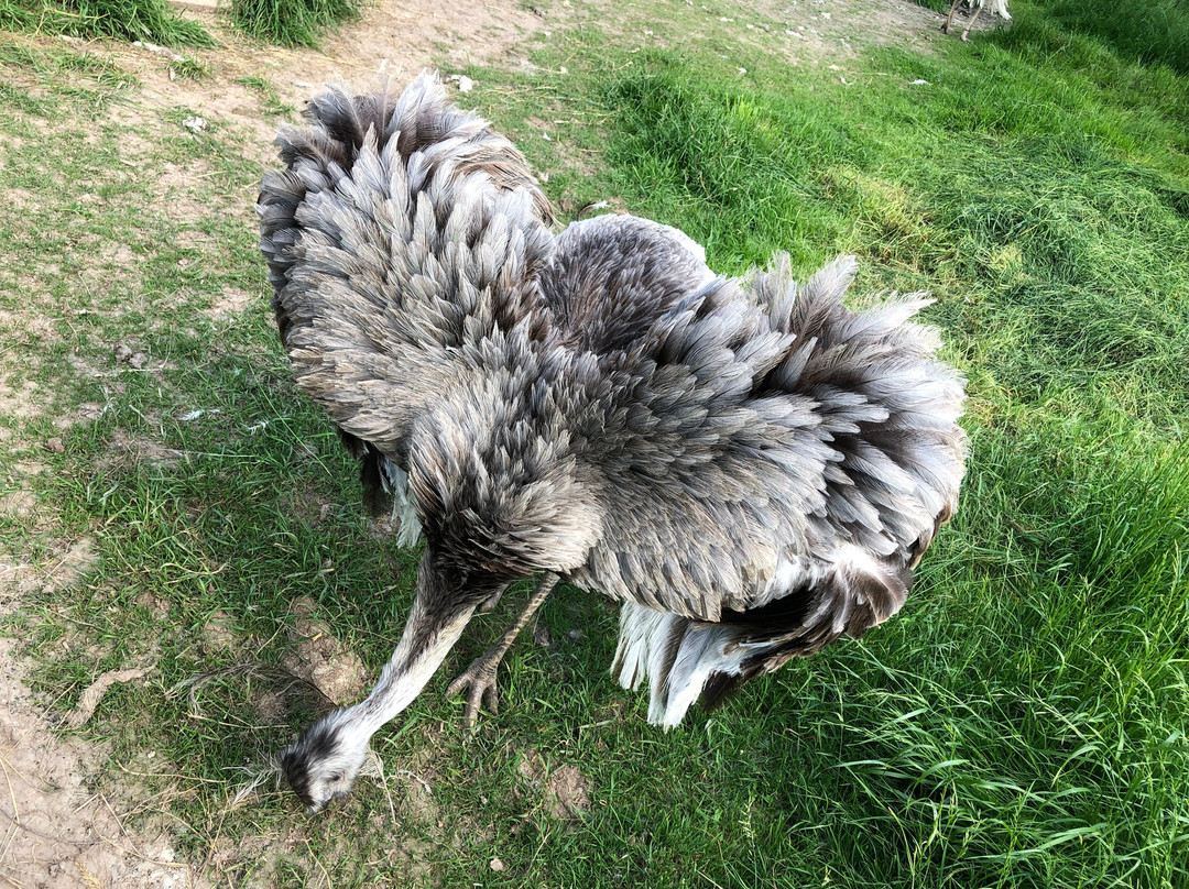Bird Park Vorobyi-Vorobi必去景点