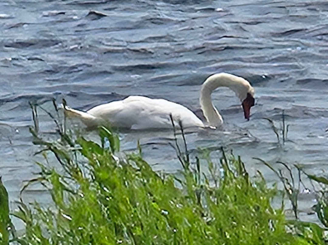 Abberton Reservoir Visitor Centre-Layer de la Haye必去景点