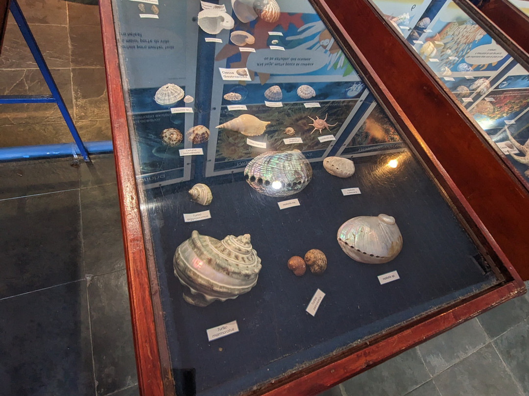 Ubatuba Aquarium-乌巴图巴必去景点