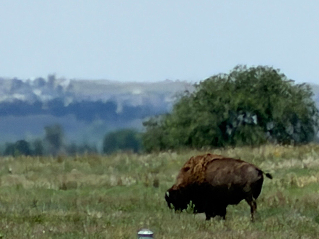 Rocky Mountain Arsenal National Wildlife Refuge-Commerce City必去景点
