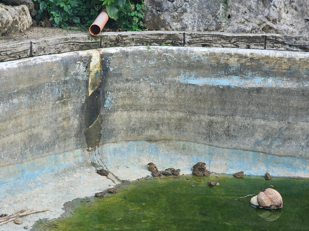 Sirao Pictoral Garden-宿雾市必去景点